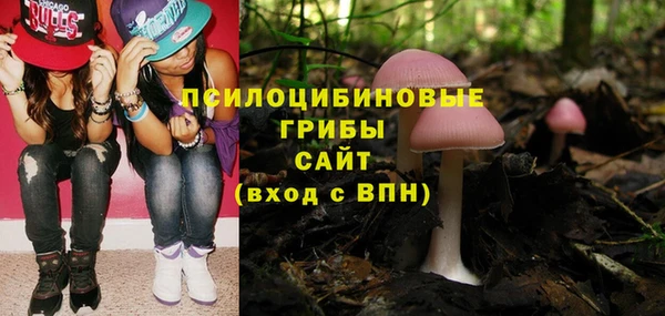 а пвп мука Аркадак