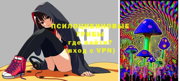 гашик Арсеньев