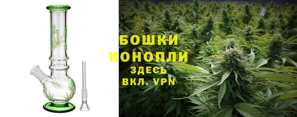 гашик Арсеньев