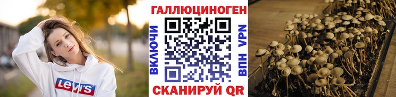Галлюциногенные грибы мухоморы  Белая Холуница 